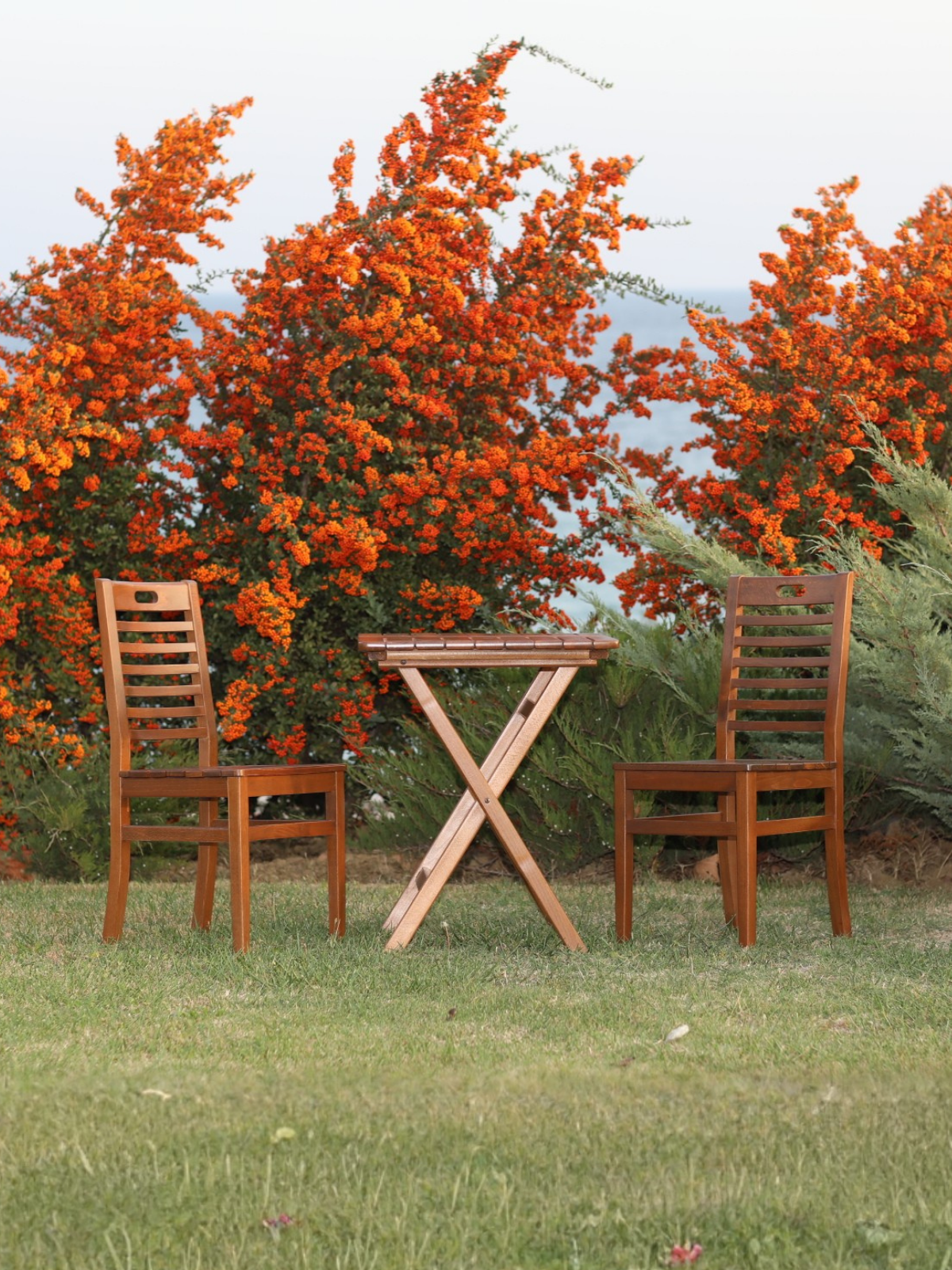 Bodrum Sandalye | Gürgen Ağacı, Dayanıklı Dış Mekan Tasarımı